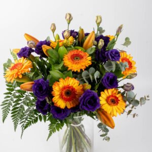 שקיעה סגולה