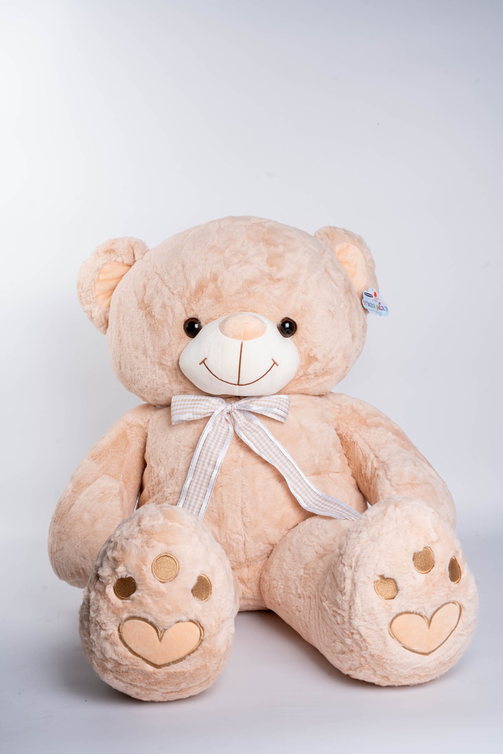 דובי חום בהיר ענק