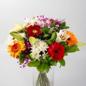 הזר הצבועני