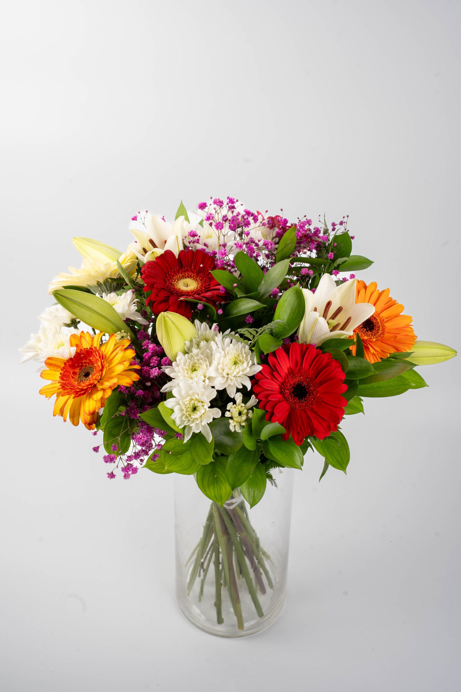 הזר הצבועני