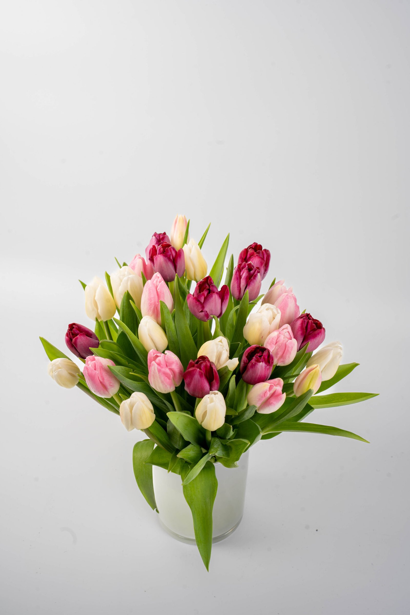 מיקס טוליפים